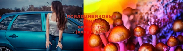 гашиш Беломорск