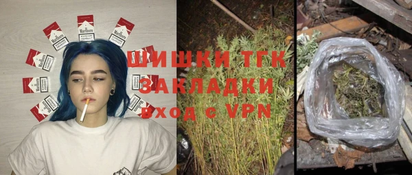 МДПВ Богородск