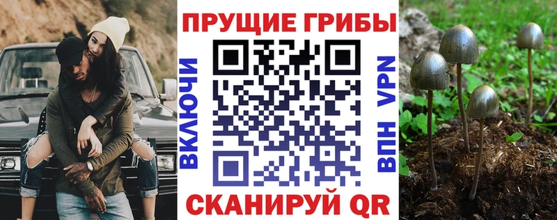 Псилоцибиновые грибы GOLDEN TEACHER  KRAKEN как войти  Можайск 
